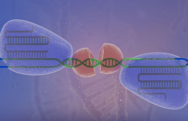 The Greatest Gene Editing Technology on the Planet?
