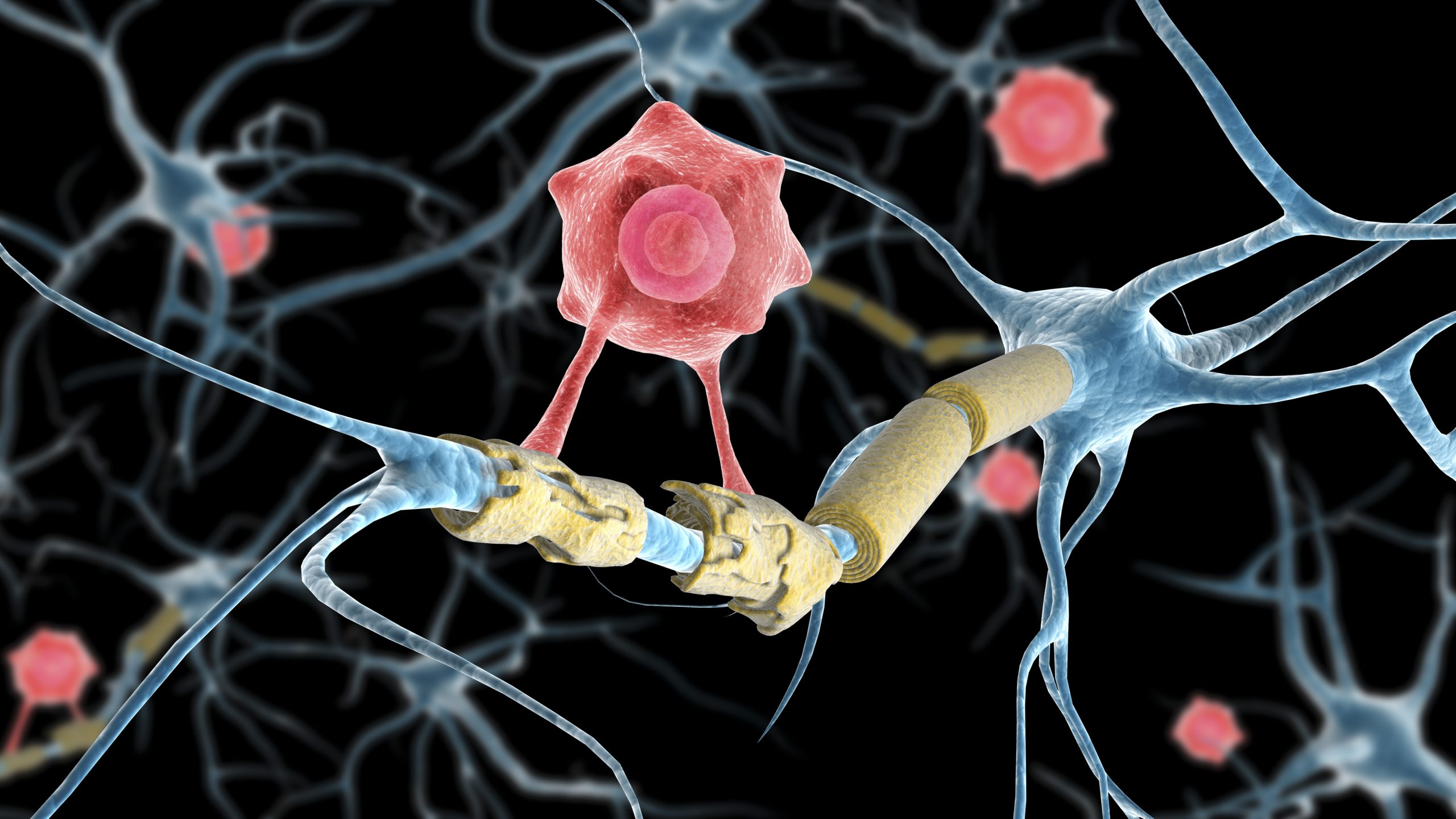 Peptide Promotes Nervous System Repair in Stroke Animal Models