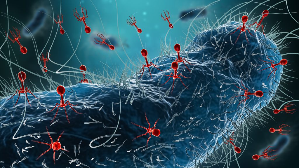 phaGe therapy