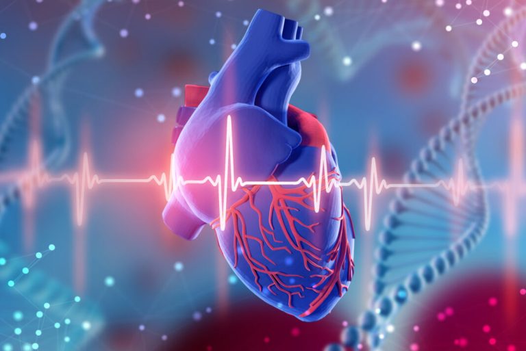 Loss of Y Chromosome in White Blood Cells Leads to Heart Failure in Men