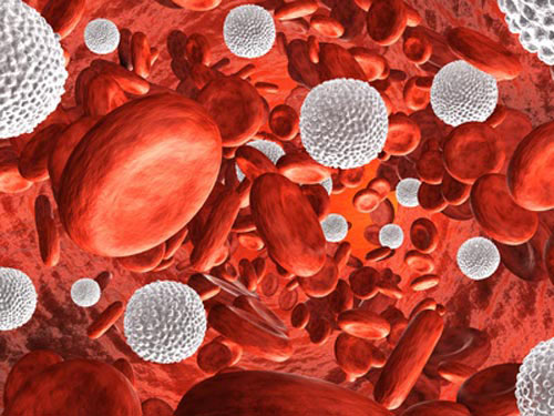 Monocytes May Be a Stable Reservoir of HIV