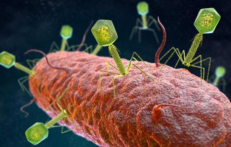 Phage Therapy Starts Realizing Its Long-Deferred Potential
