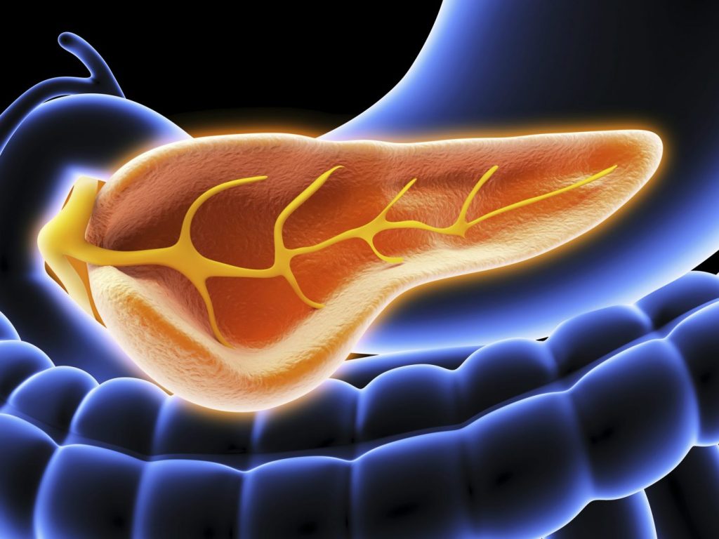 Pancreas