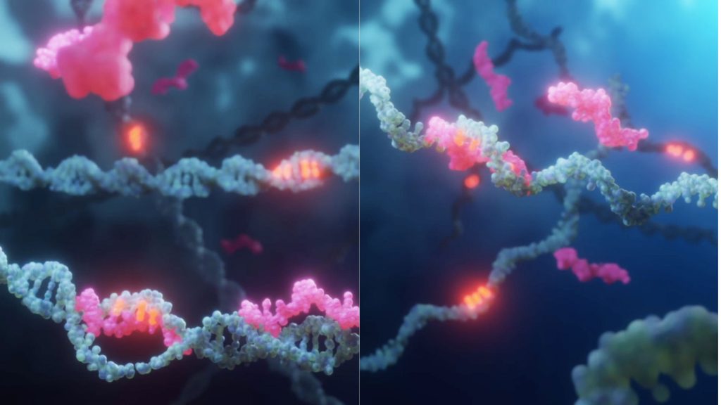 disease-causing mutations