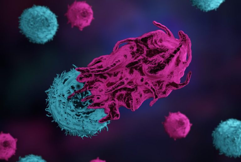 Reinvigorating Terminally Exhausted T Cells Could Improve Cancer Immunotherapy