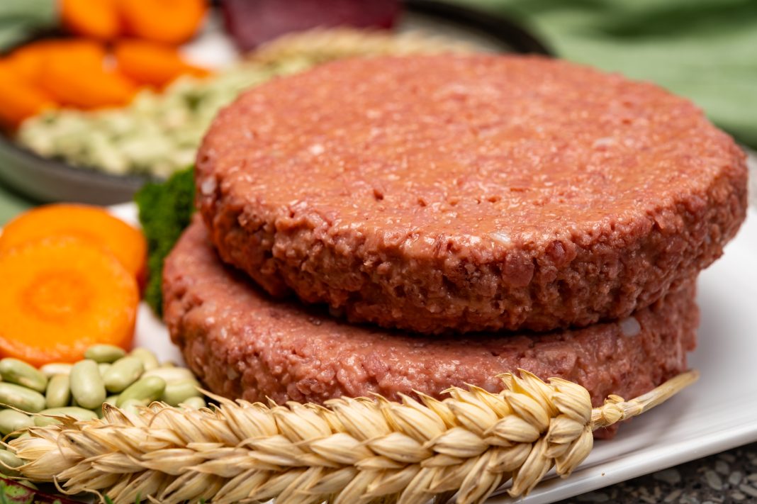 Source of fibre plant based vegan soya protein burgers, meat free healthy food