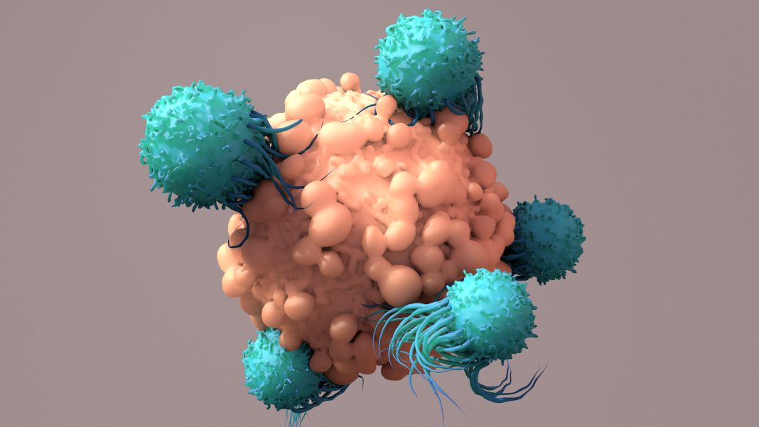 T-Cells Work to Fight Cancer, Immunotherapy,  CAR T-cell therapy, 3d renderin