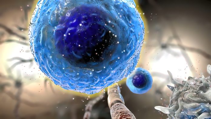 Cytokine production in activated macrophages
