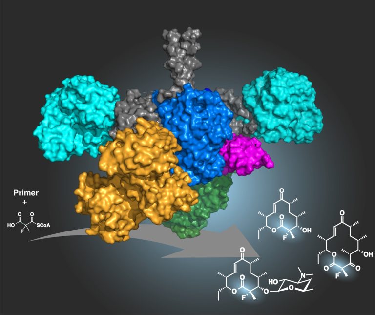 New Fluorination Technology Increases Therapeutic Value of Natural Compounds