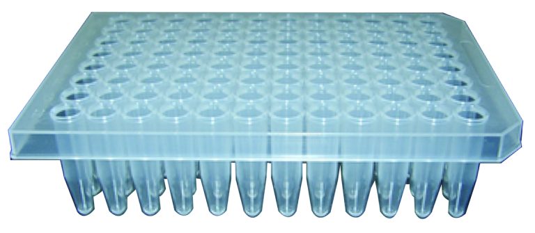 Optimized Tube Plate for  Enzyme Studies