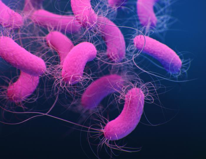 Antibiotic Hits Novel Target, a Lipid Enzyme, Defeats Resistant Bacteria in Mice