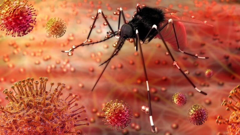 Uncommon Antibody Provides Ultrapotent Protection against Zika Virus