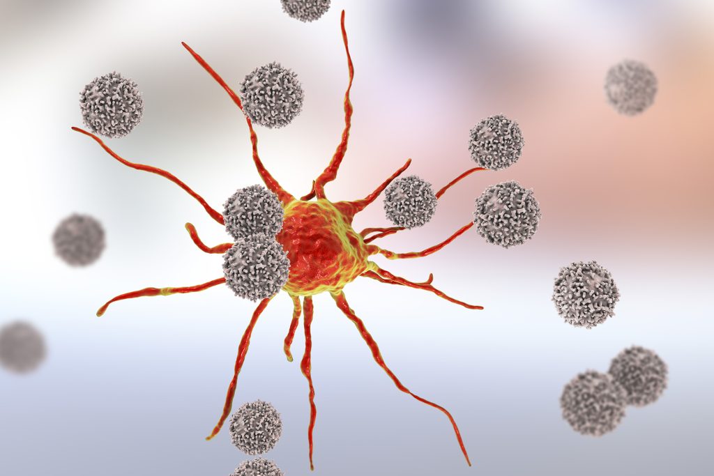 T-lymphocytes attacking cancer cell