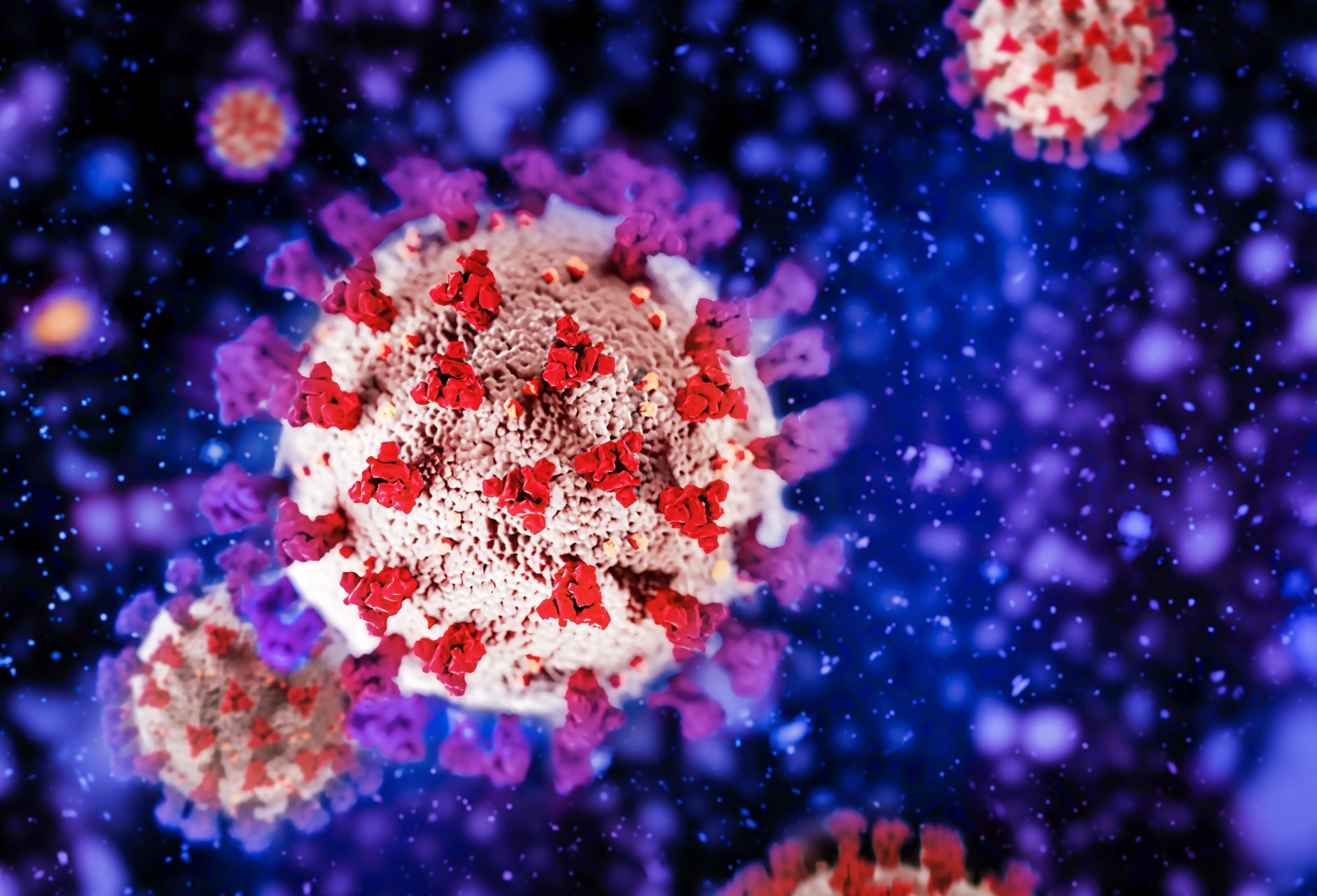 Se espera que las células T preexistentes con el virus SARS-CoV-2 reconozcan la nueva variante Pirola
