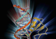 Novel Drug Discovery Platform Decodes and Models Complex Diseases