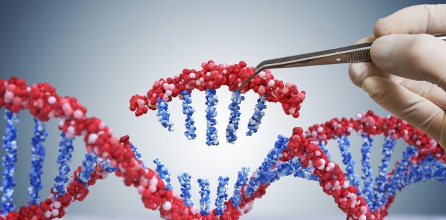 Genetic engineering, GMO and Gene manipulation concept. Hand is inserting sequence of DNA.  3D illustration of DNA.