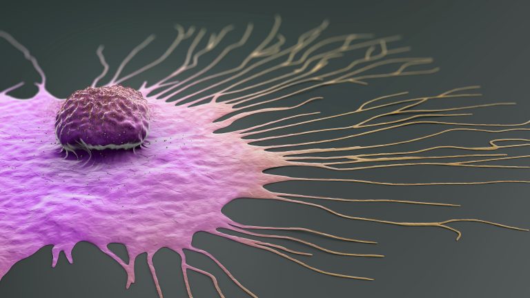Breast Cancer Cells Consume Their Surroundings to Survive