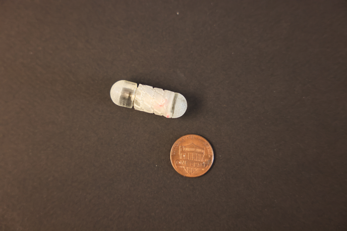 Orally Administered Robotic Drug Delivery Capsule Tunnels Through Mucus to Deliver Insulin