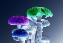 New Research Power Ups Psilocybin’s Potential as an Antidepressant