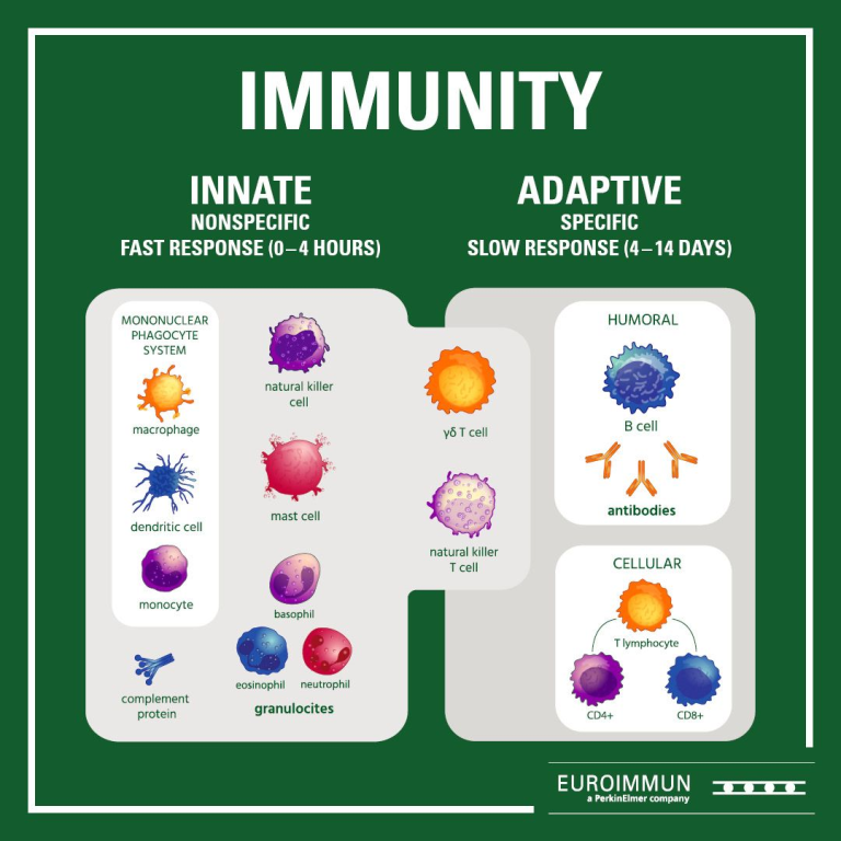 Testing Host Immune Responses and Transmissibility