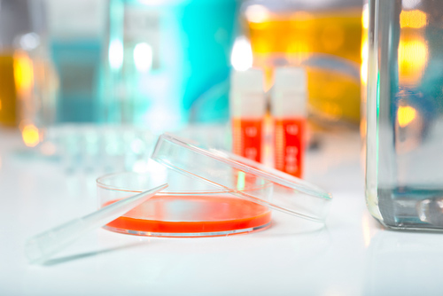 Tips for Increasing Transfection Efficiency