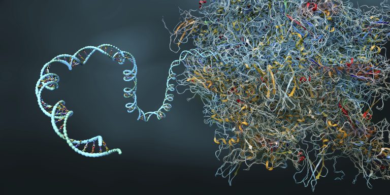 Novel Role for Ribosomes Uncovered