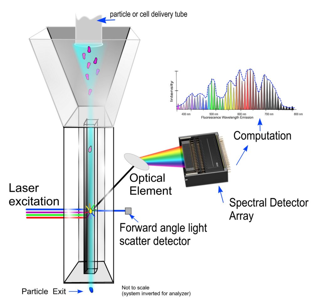 spectral flow cytometry diagram