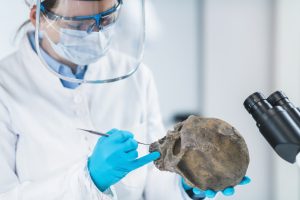 Ancient DNA Scientist Working in Bio Archaeology Lab