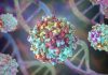 CRISPR Enzyme Found in Metagenomic Study Is Tiny, Yet Active and Precise
