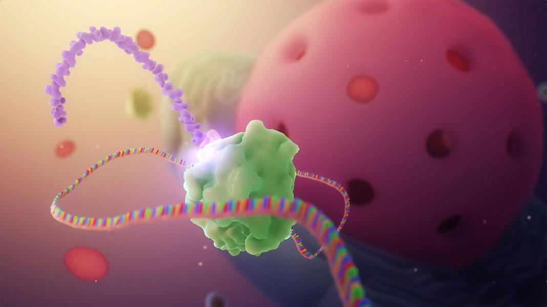 mRNA in Cell Translation