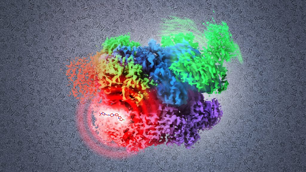 CryoEM