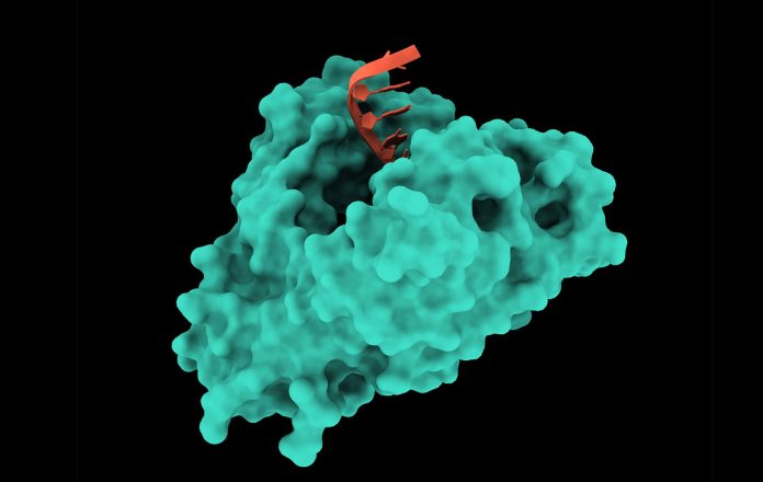 Issue No. 12, December 2022 Archives - GEN - Genetic Engineering and ...