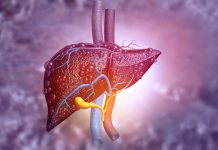 Liver Cancer Progression Promoted by B Cells’ Dual Strategy
