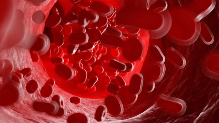 Rising Star: Vega Targets Rare Blood Disorders with Antibodies