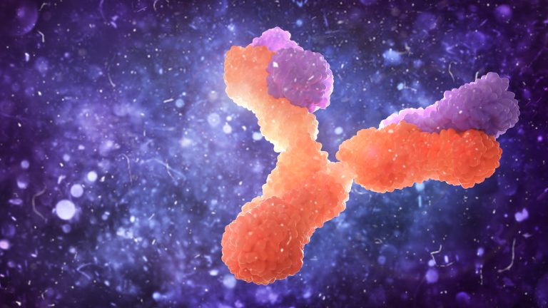 Antibody Shows Promise against Autoimmune Diseases