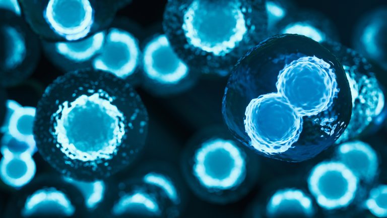 U.K. Cell and Gene Therapy Catapult to Open Stem Cell Labs in Edinburgh