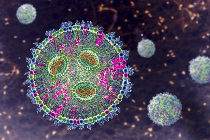siRNA lipid nanoparticle antiviral, illustration siRNA lipid nanoparticle antiviral
