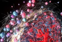 Measuring Cancer Cell Death to Optimize Treatment Selection