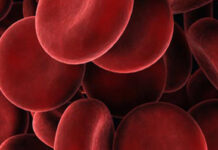 Universal Donor Blood Significantly Closer Thanks to Enzymes Found in Gut Bacteria