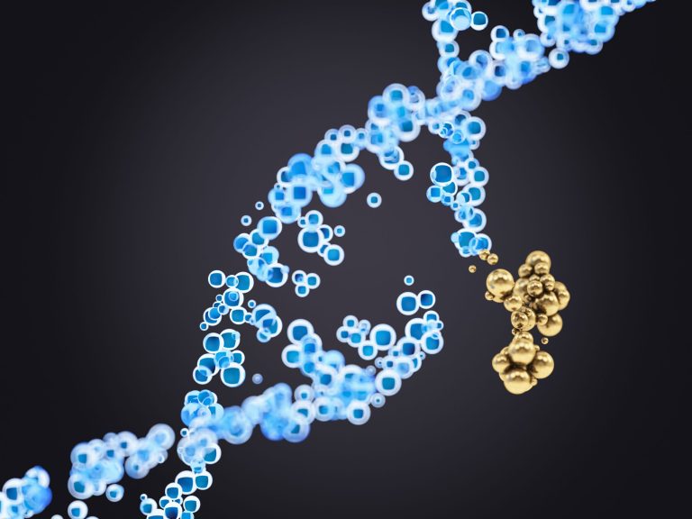 Digging into DNA Repair with Optical Tweezer Technology