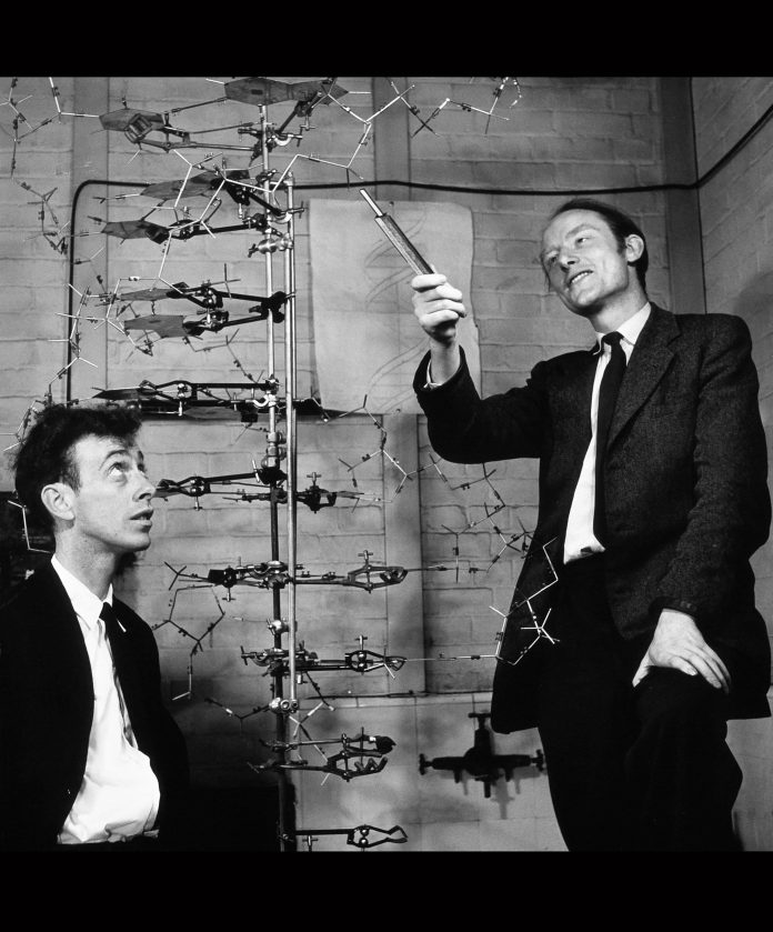 ames Watson and Francis Crick