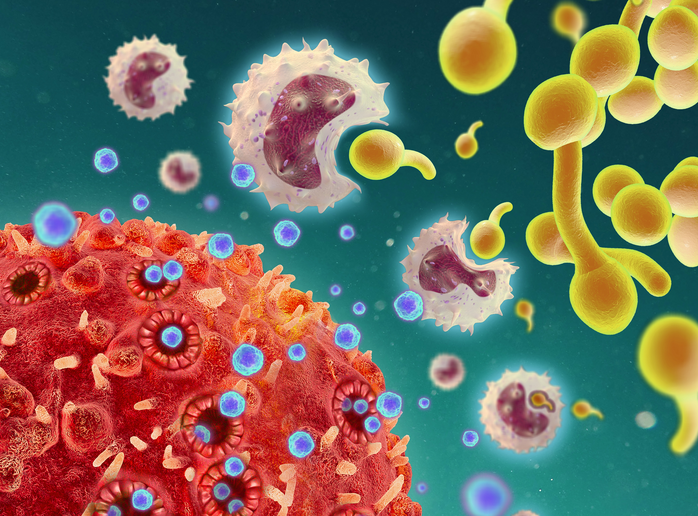 T Cells’ Newfound Role—Secretion of Cytokines