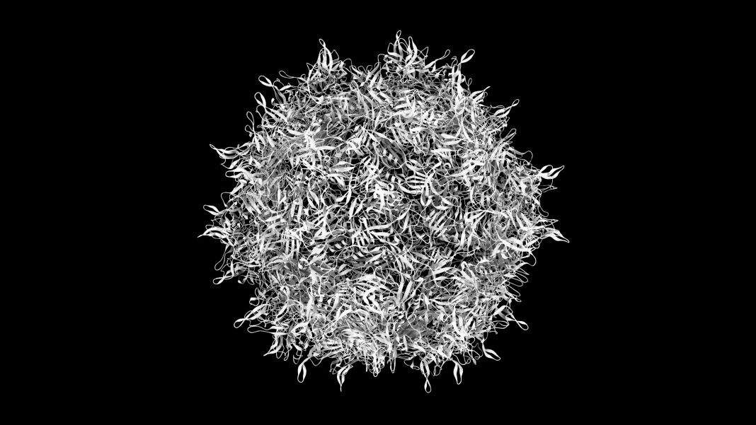 3D CG rendered image of scientifically accurate Adeno-Associated Virus (AAV) Capsid Structure based on PDB : 1LP3 (ribbon occlusion style)