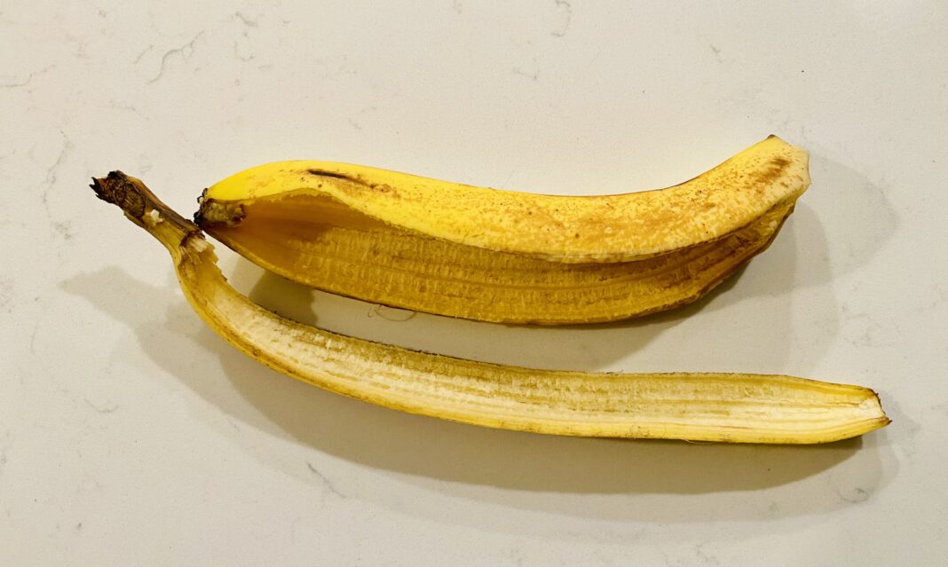 BananaPeel