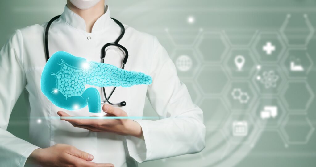 female doctor holding graphic virtual visualization model of Pancreas organ