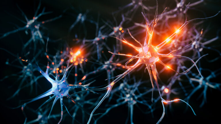 Neurons Involved in Chronic Stress Uncovered