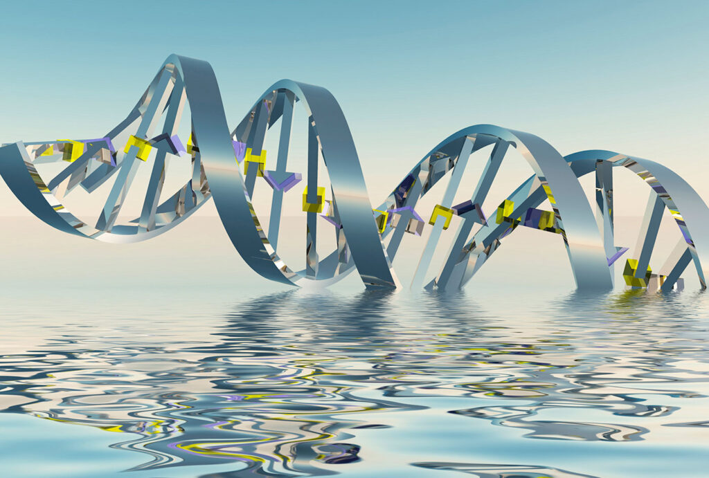 DNA strand