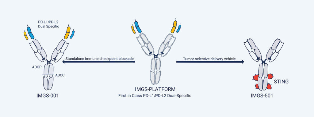 ImmunoGenesis' two dual-specific antibodies under development 