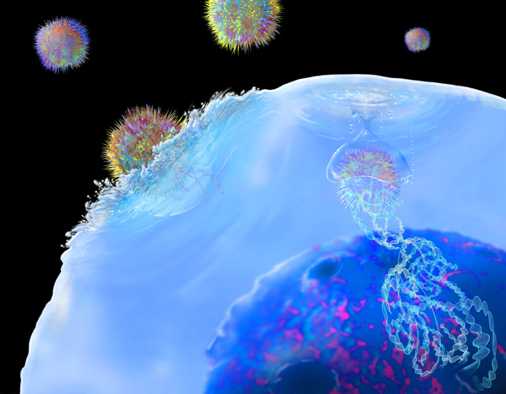 CAR T cell immunotherapy