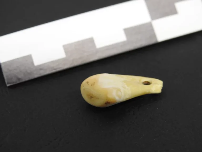 Ancient Woman’s DNA Recovered from a 20,000-Year-Old Pendant